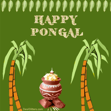 Pongal Animation Motion Photos